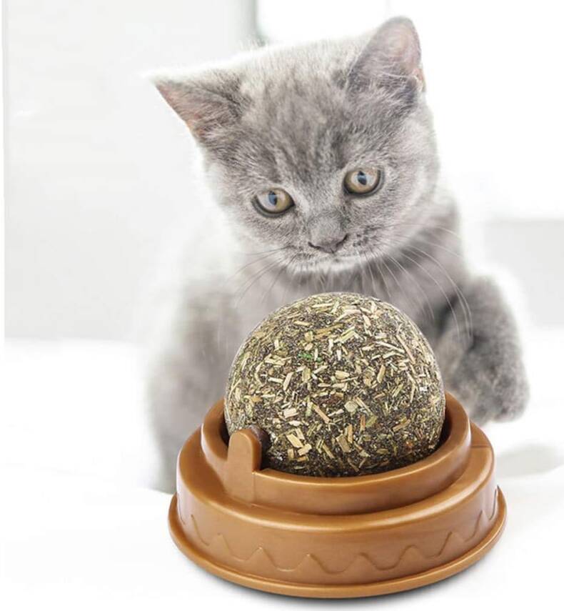 Kedi Nanesi Oyun Topu - 4