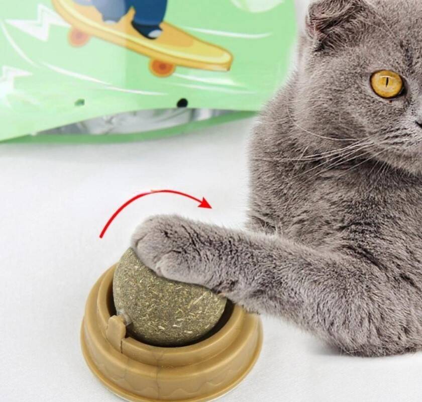 Kedi Otu Oyun Topu - 3