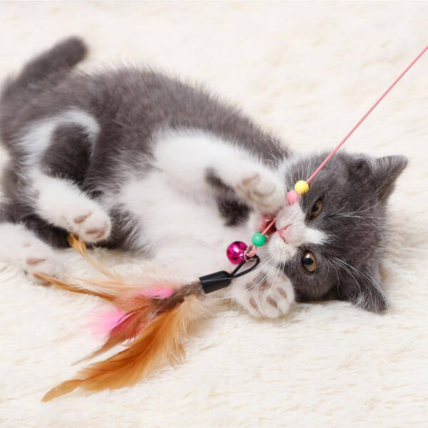 Kedi Oyun Oltası 90 cm - 2
