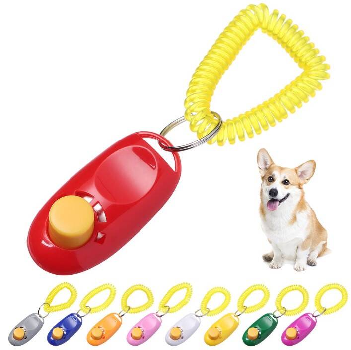 KÖPEK EĞITIMI CLICKER - 1