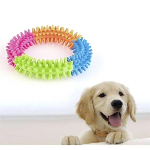 Köpek Isırma Diş Kaşıma Çemberi - 2