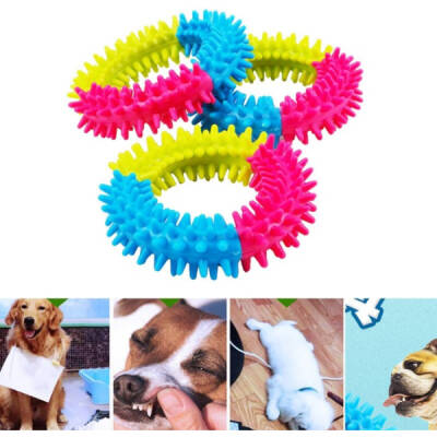 Köpek Isırma Diş Kaşıma Çemberi - 3