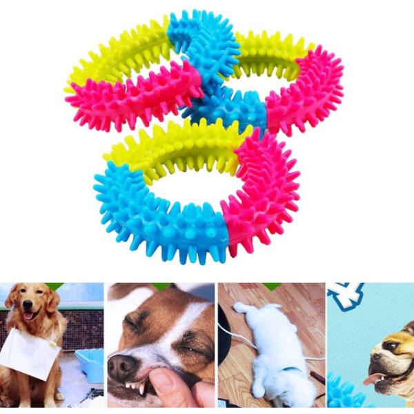 Köpek Isırma Diş Kaşıma Çemberi - 3