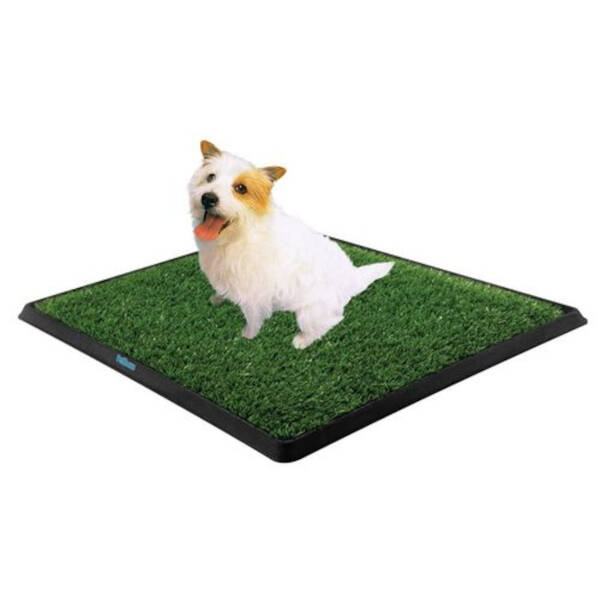Köpek Tuvalet Eğitim Seti - 1
