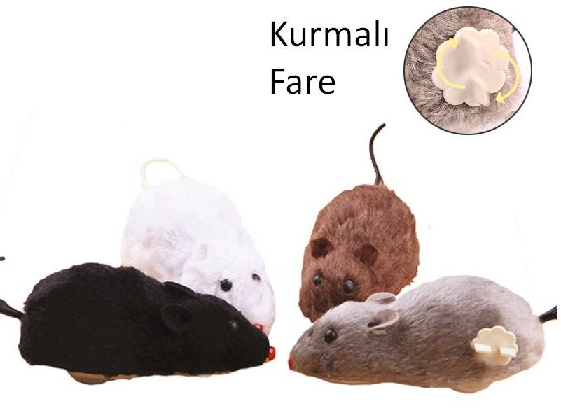 Kurmalı Fare Kedi Eğitim Oyuncağı - 2