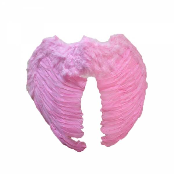 Melek Kanadı Kostümü Pembe - 1