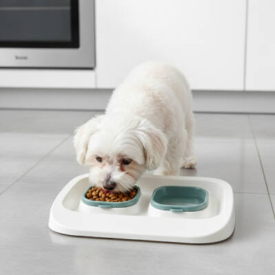 Mikopet Yeşil 2'si 1 Arada Mama Ve Su Kabı - 3