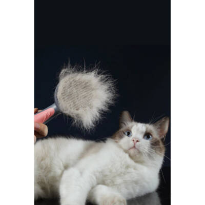 Otomatik Tuşlu Kendini Temizleyen Kedi Köpek Tarağı - 3