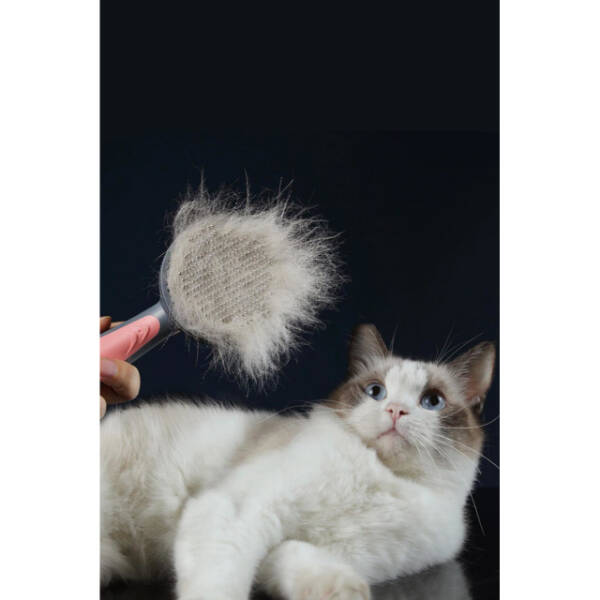 Otomatik Tuşlu Kendini Temizleyen Kedi Köpek Tarağı - 3