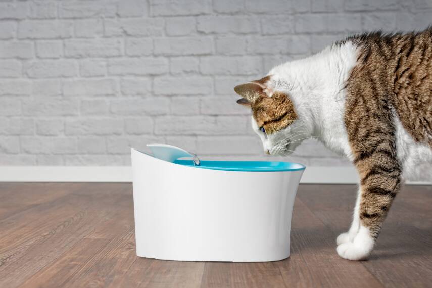 Otomatik Uyarılı Kedi Köpek Su Kabı - 1