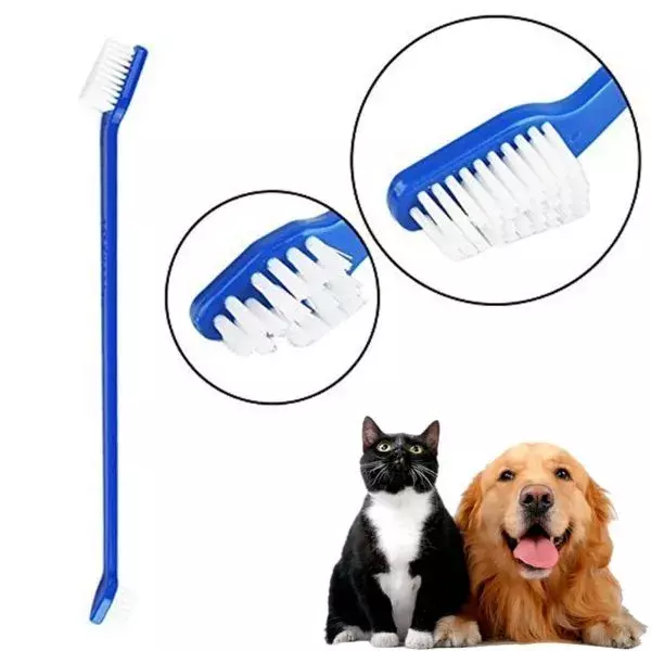 Plastik Köpek Diş Fırçası 4 Adet - 5