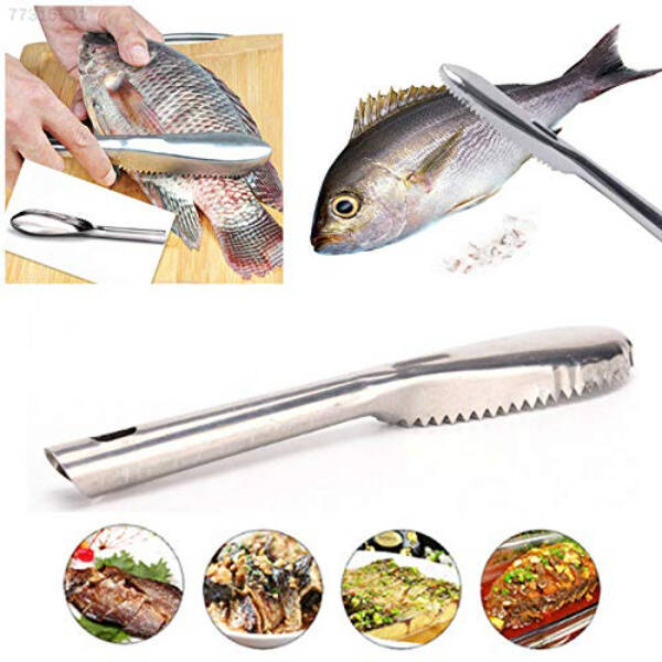 Pratik Balık Pulu Kazıyıcı Aparat - 5