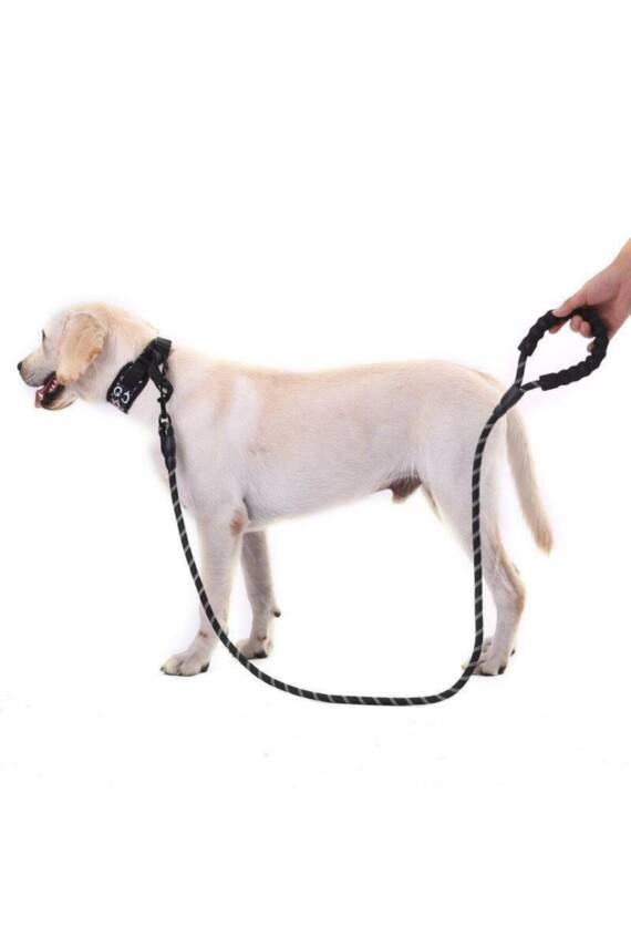 Reflektörlü Köpek Tasması 130 Cm. - 2