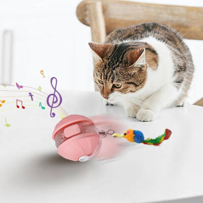 Şarjlı Hareketli Kedi Topu Oyuncak (1)