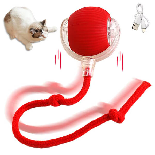 Şarjlı Kedi Oyuncağı - 1