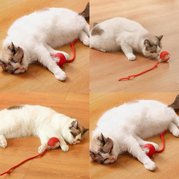 Şarjlı Kedi Oyuncağı - 2