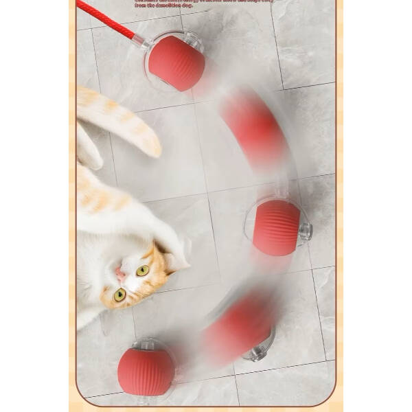 Şarjlı Kedi Oyuncağı - 3