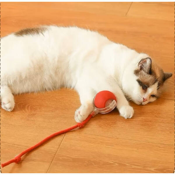 Şarjlı Kedi Oyuncağı - 5
