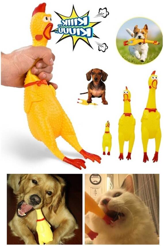 Ses Çıkaran Tavuk Kedi Köpek Oyuncağı - 1