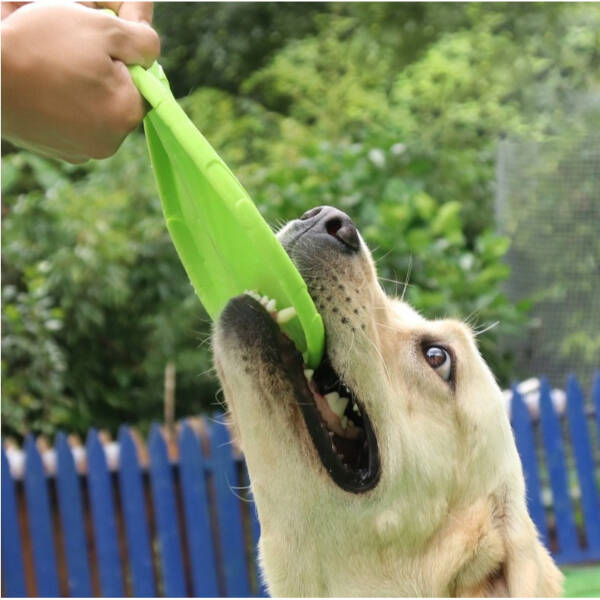 Silikon Frizbi Köpek Oyuncağı - 2