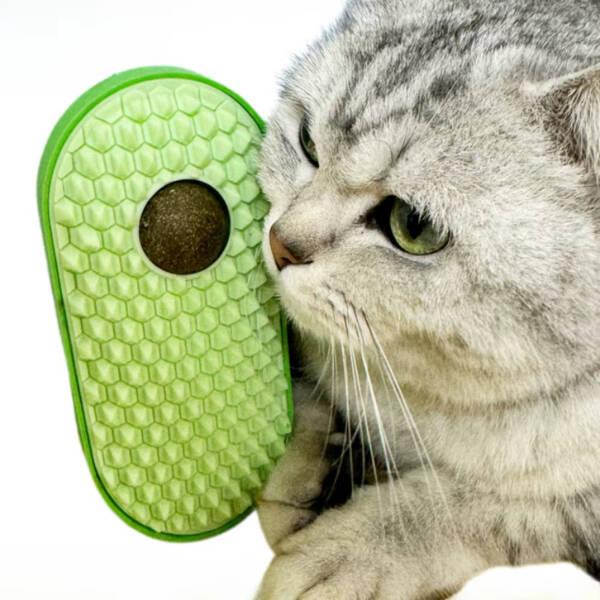 Silikon Kaşıyıcılı Kedi Otu - 2