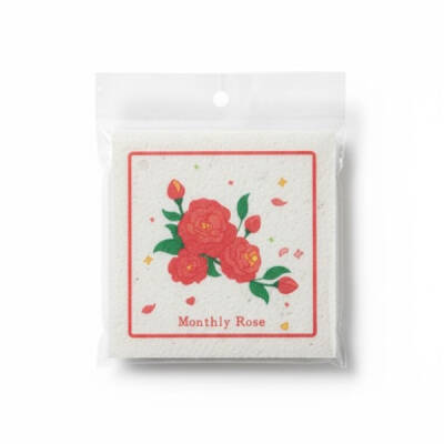 Suda Büyüyen Sünger (1)