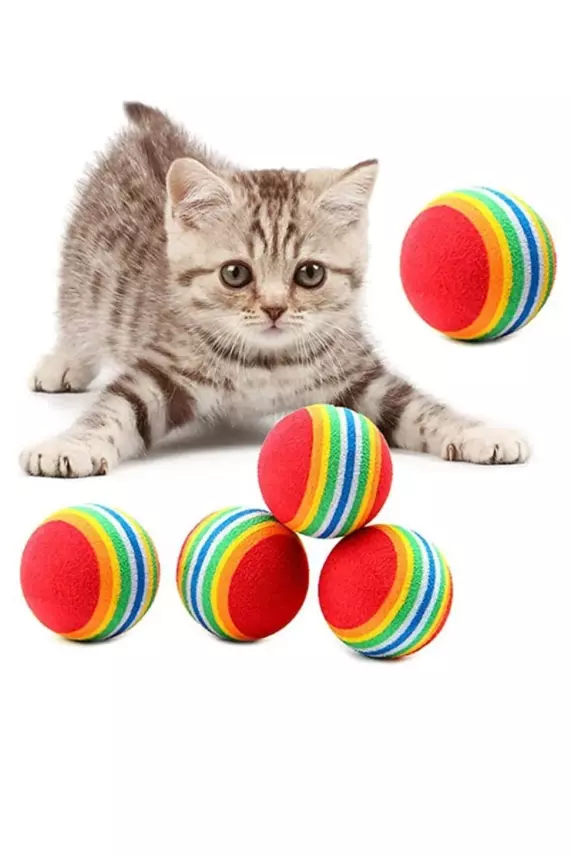 Sünger Kedi Köpek Çiğneme Ve Oyun Topu 4 Adet - 1