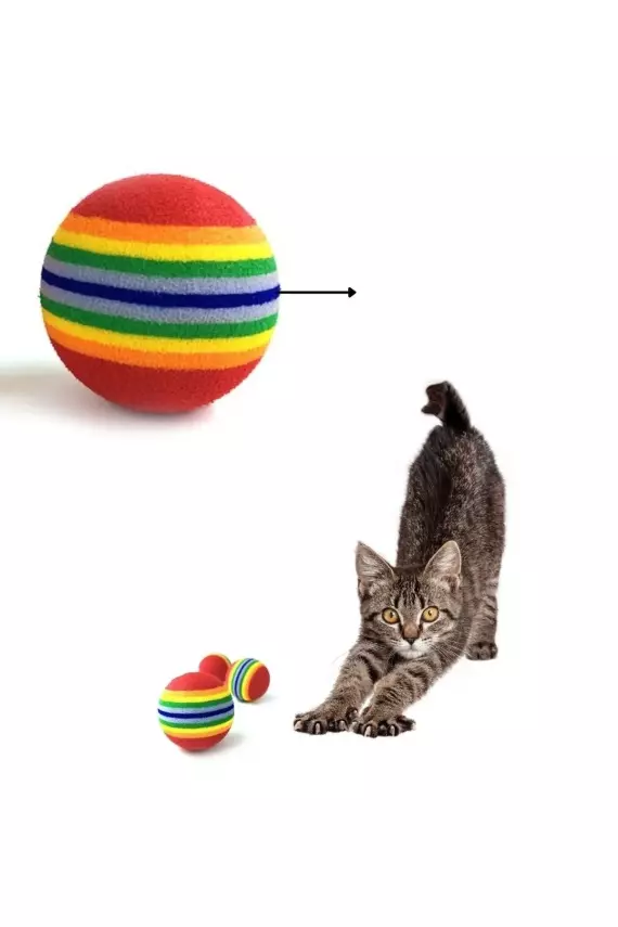 Sünger Kedi Köpek Çiğneme Ve Oyun Topu 4 Adet - 2