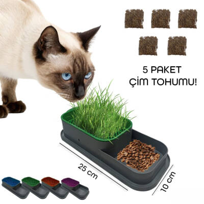 Topraksız Kedi Çimi Kabı - 1