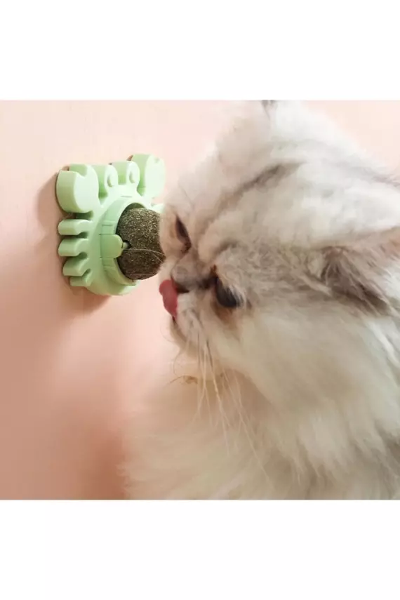 Yengeç Kedi Otu Oyun Topu - 1