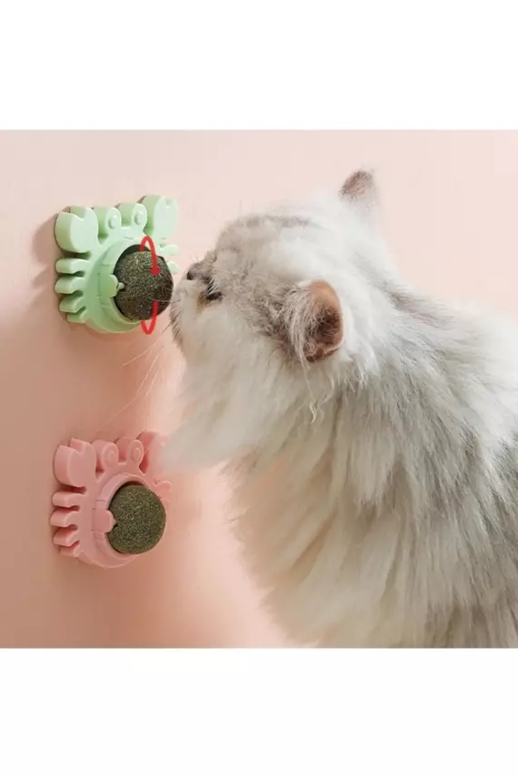 Yengeç Kedi Otu Oyun Topu - 2