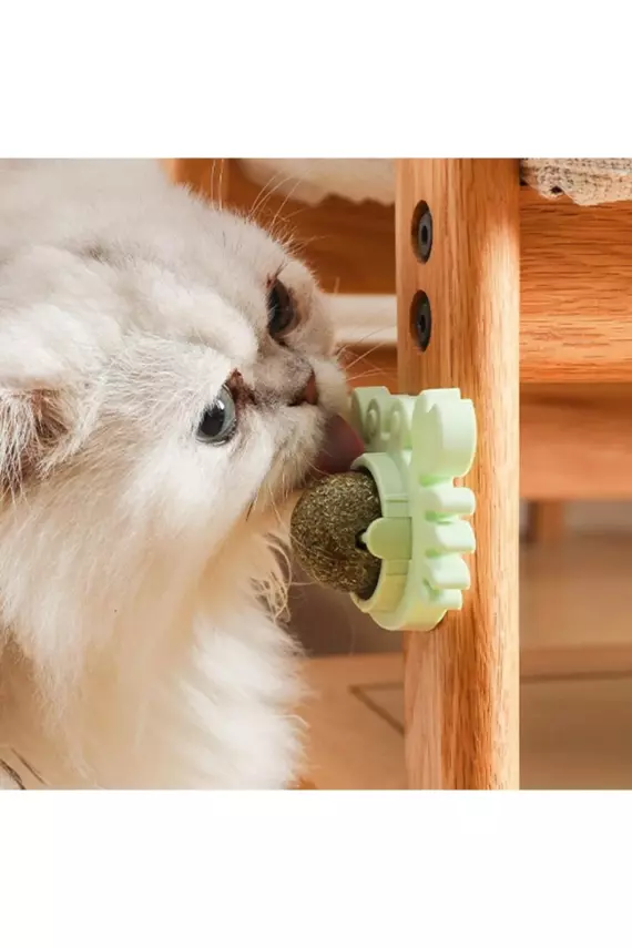 Yengeç Kedi Otu Oyun Topu - 4